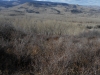 Plateau Ridge