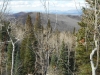 Baldridge Point