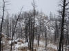 Bear Mountain