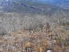 Animas City Mountain