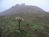 Sulphur Springs Mountain