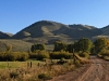 Crazy Mountain