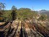 Barnroof Point
