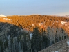 Monument Hill