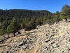 Sentinel Peak