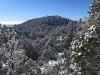 Guadalupe Mountain, South