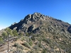 Organ Peak