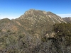 Organ Peak