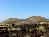Kuili