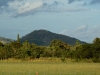 Kalepa