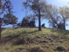 Baby Peak
