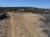 Pi&ntilde;on Mesa