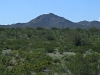 Burro Mountain