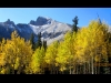 Wheeler Peak