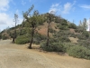 Sampson Peak