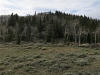 Kleins Hill
