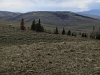 Willow Creek Butte