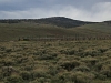 Buck Knoll