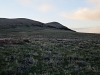 Limestone Ridge, South