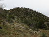 Cerro de Los Arboles