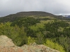 Cattle Mountain
