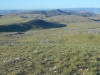 Pinyon Ridge, North