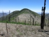 Snowshed Peak