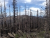 East White Pine Mountain