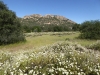 Morena Butte