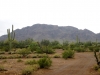 South Mountain