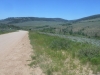 Yellow Pine Ridge