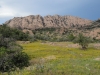 Elk Mountain