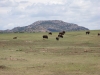 Scott, Mount