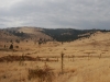 Mineral Ridge