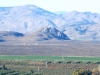 Olive, Mount
