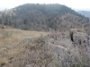 "Taylor Peak"