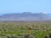 South Pi&ntilde;on Hills
