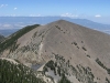 Rough Mountain