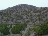 Juniper Ridge