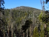 "Granby Peak"