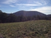 Bearwallow Mountain