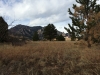 Shanahan Hill