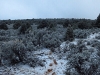 Nyswonger Mesa