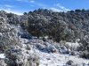 Cerro de los Taoses