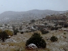 Alamo Hueco