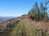 Hogans Hill