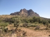 Picketpost Mountain