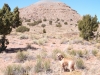 Cow Butte