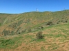 Shandin Hills
