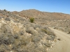 Rodman Mountains Wilderness HP